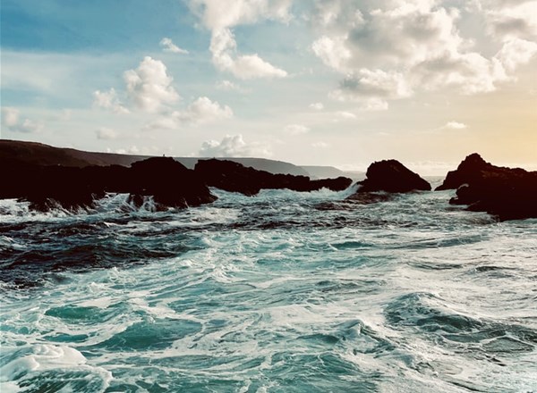 2023, The Crown Estate, Offshore Wind Evidence and Change Programme (OWEC), Nature Inclusive Cable Enhancement Programme  (NICE)